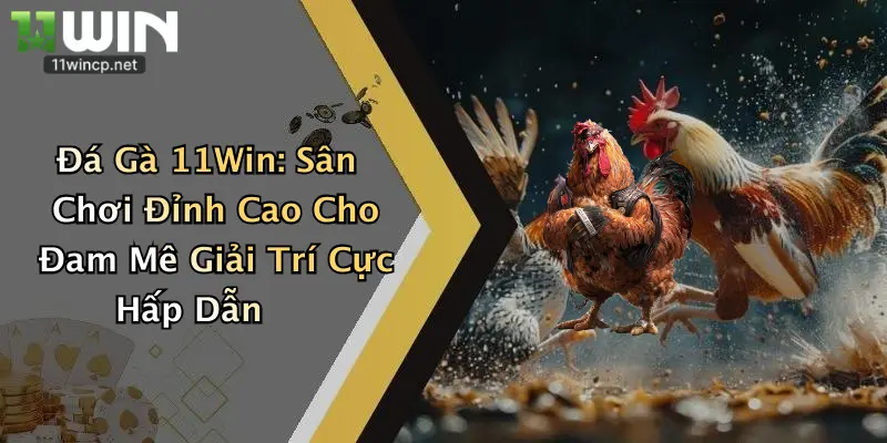 Đá Gà 11Win: Sân Chơi Đỉnh Cao Cho Đam Mê Giải Trí Cực Hấp Dẫn