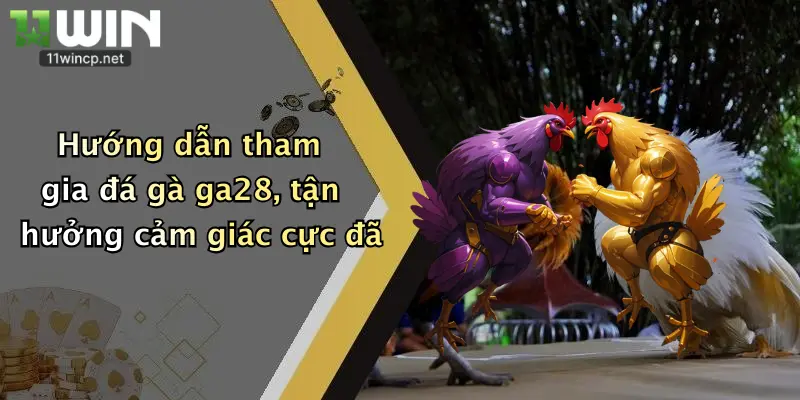Hướng dẫn tham gia đá gà ga28, tận hưởng cảm giác cực đã