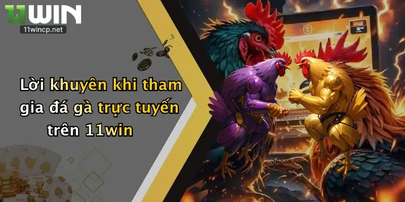 Lời khuyên khi tham gia đá gà trực tuyến trên 11win